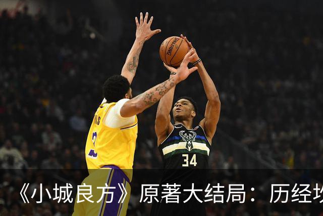 《小城良方》原著大结局：历经坎坷，刘铮亮艾辰终成眷属